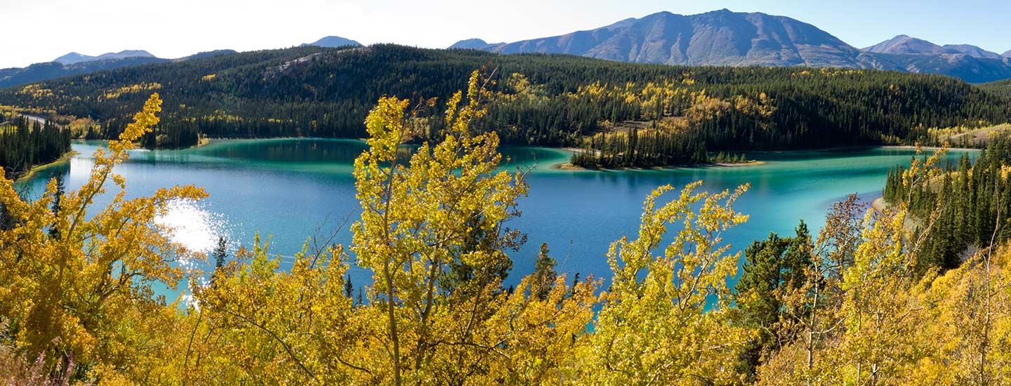 Yukon Discovery with Alaska Shore Tours