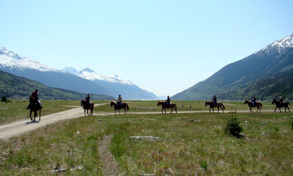 Chilkoot Horseback Adventure
