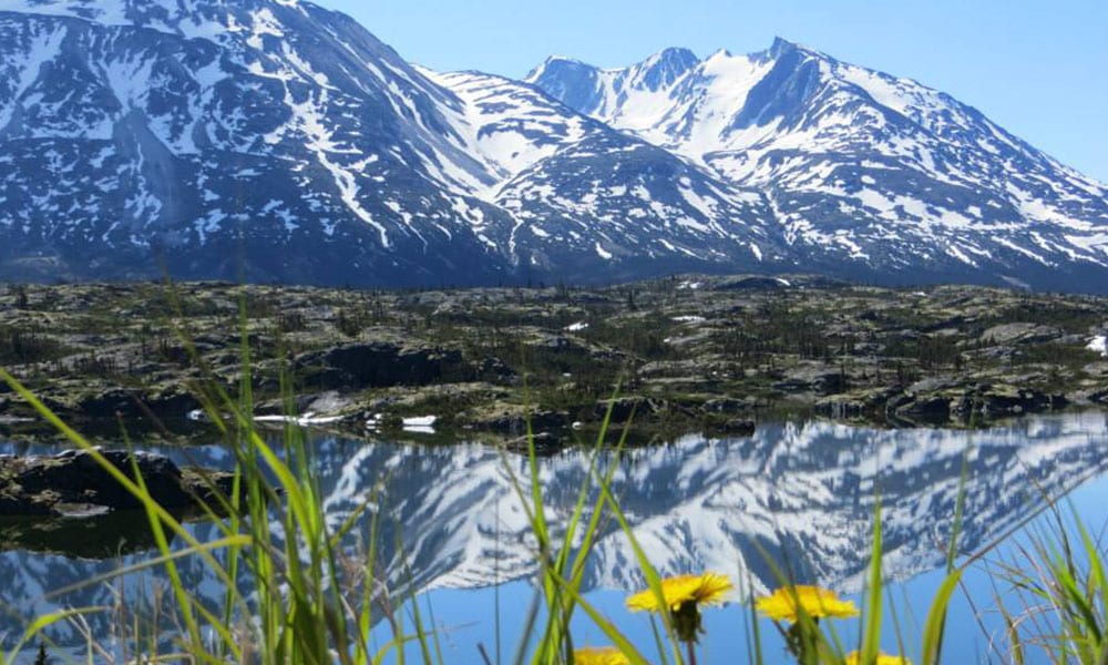 4-Hour Extended White Pass Summit Private Group Tours in Skagway
