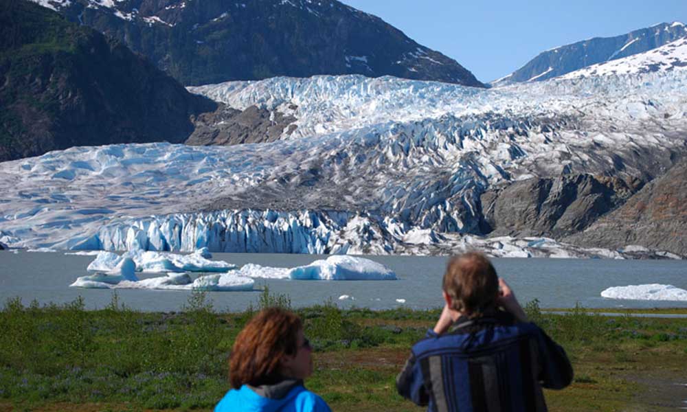 Whale Watching, Mendenhall Glacier, and Juneau City Tour