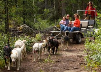 Private Emerald Lake and Dogsled Tour