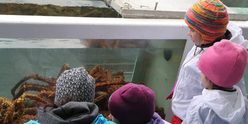 Bering Sea Crab Alaska Family Tours