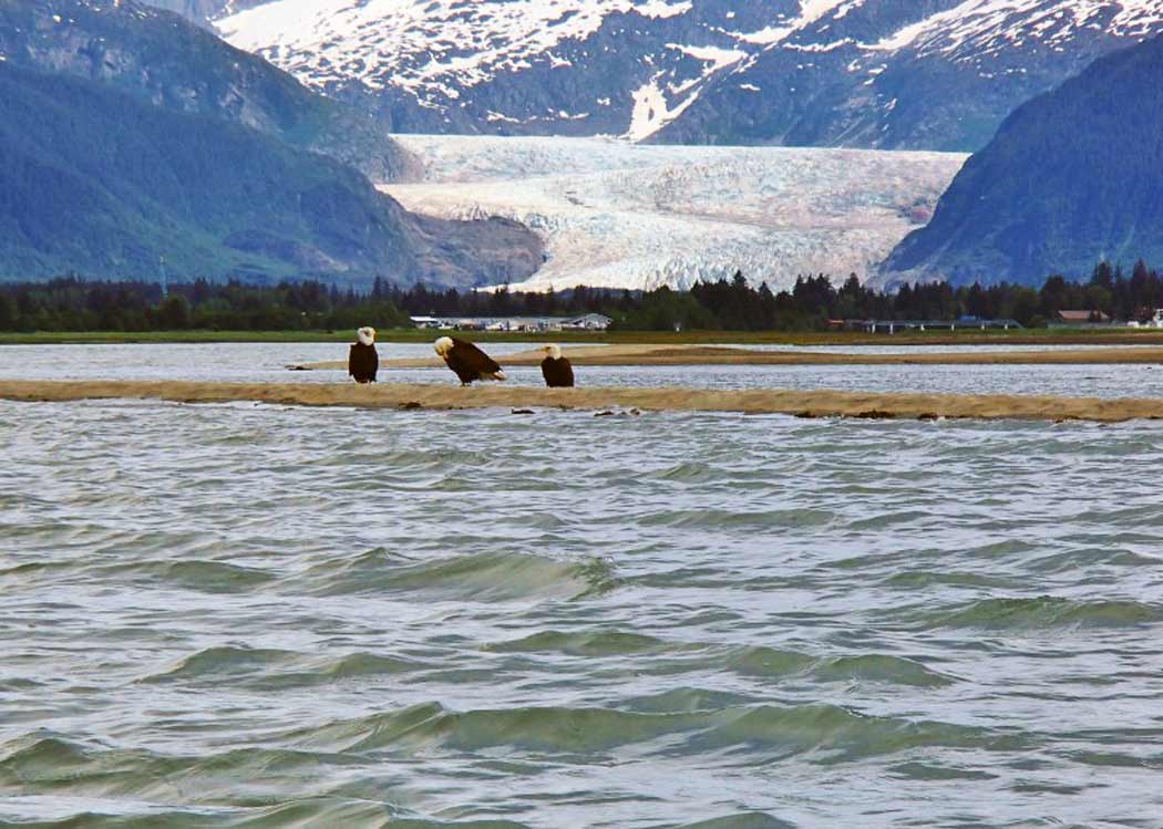Glacier View Sea Kayak with Alaska Shore Tours