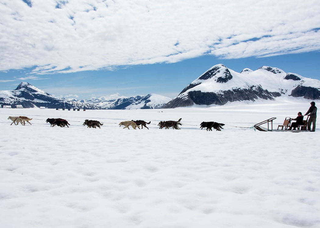 Glacier Dog Sled Adventure with Alaska Shore Tours