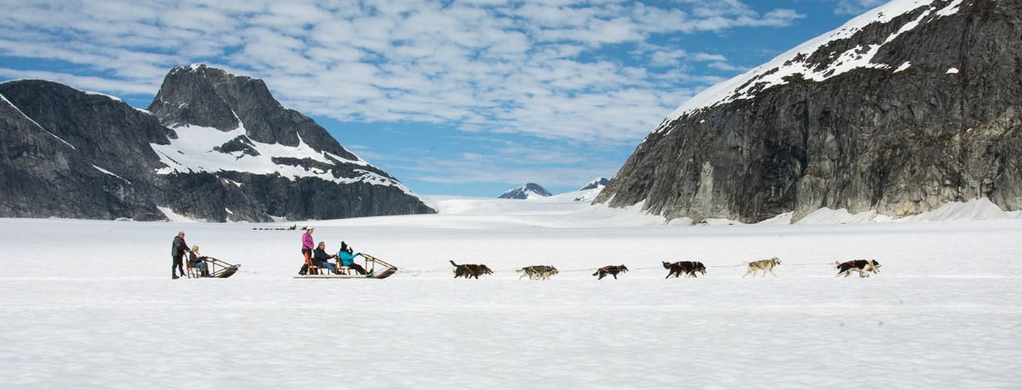 Glacier Dog Sled Adventure with Alaska Shore Tours