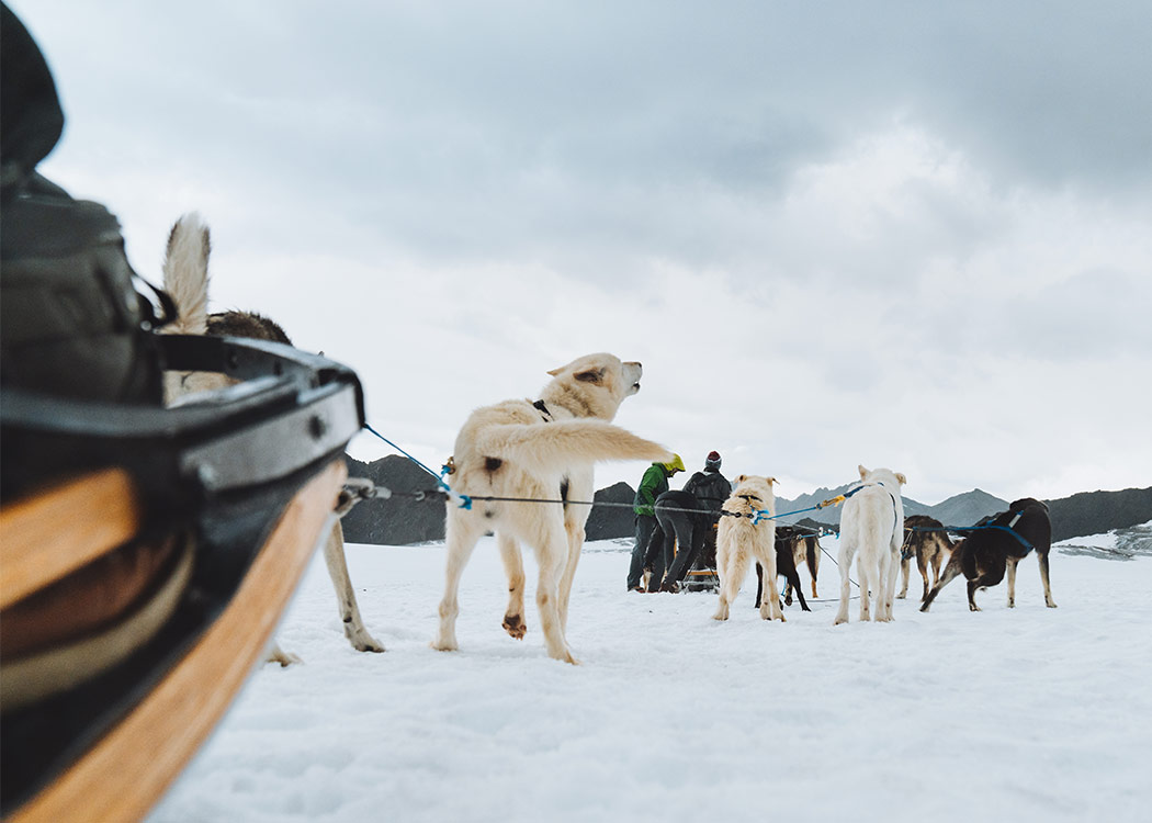Anchorage Helicopter and Glacier Dogsled Tour with Alaska Shore Tours