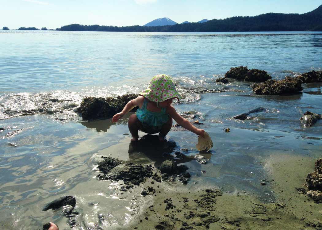 Private Photo Safari, Beachcombing, and More with Alaska Shore Tours