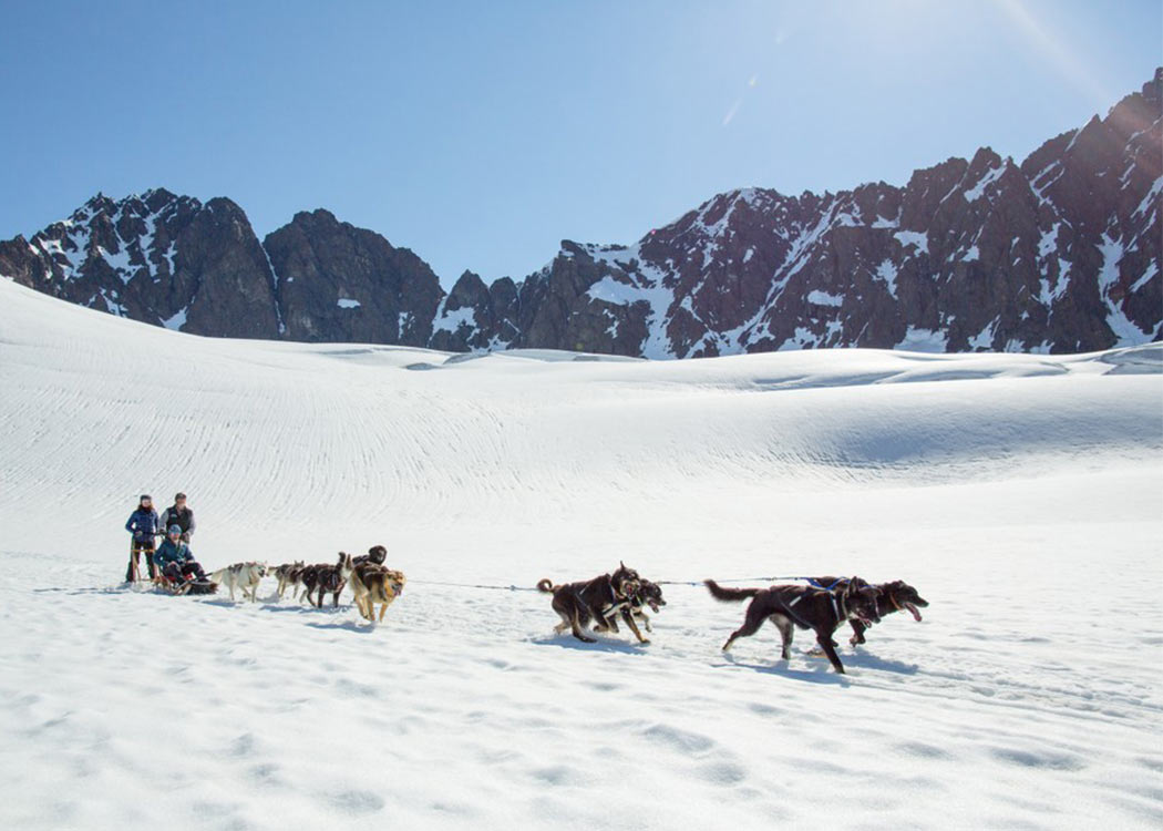 Anchorage Helicopter Glacier Dogsled & Lower Glacier Landing with Alaska Shore Tours