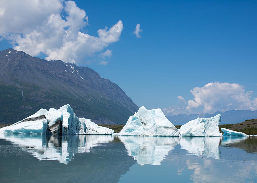 Helicopter & Zodiac Iceberg Tour with Alaska Shore Tours